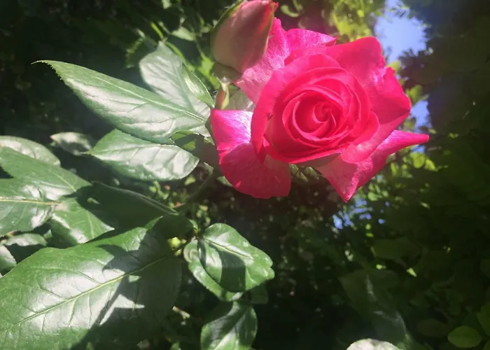 Bed & Breakfast Sole Luna Perugia